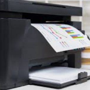 Paper Print